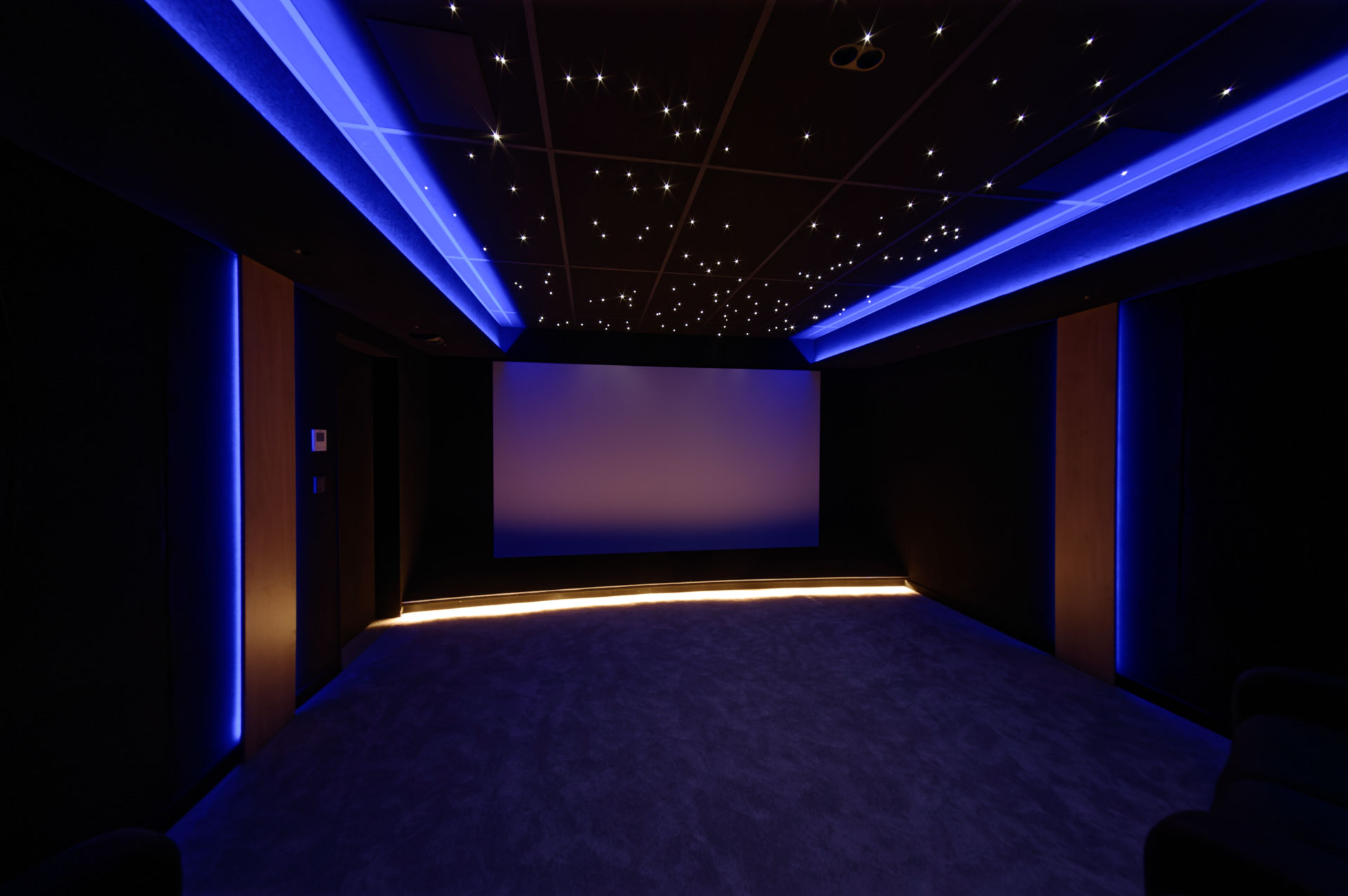 Private cinema room in Meaux