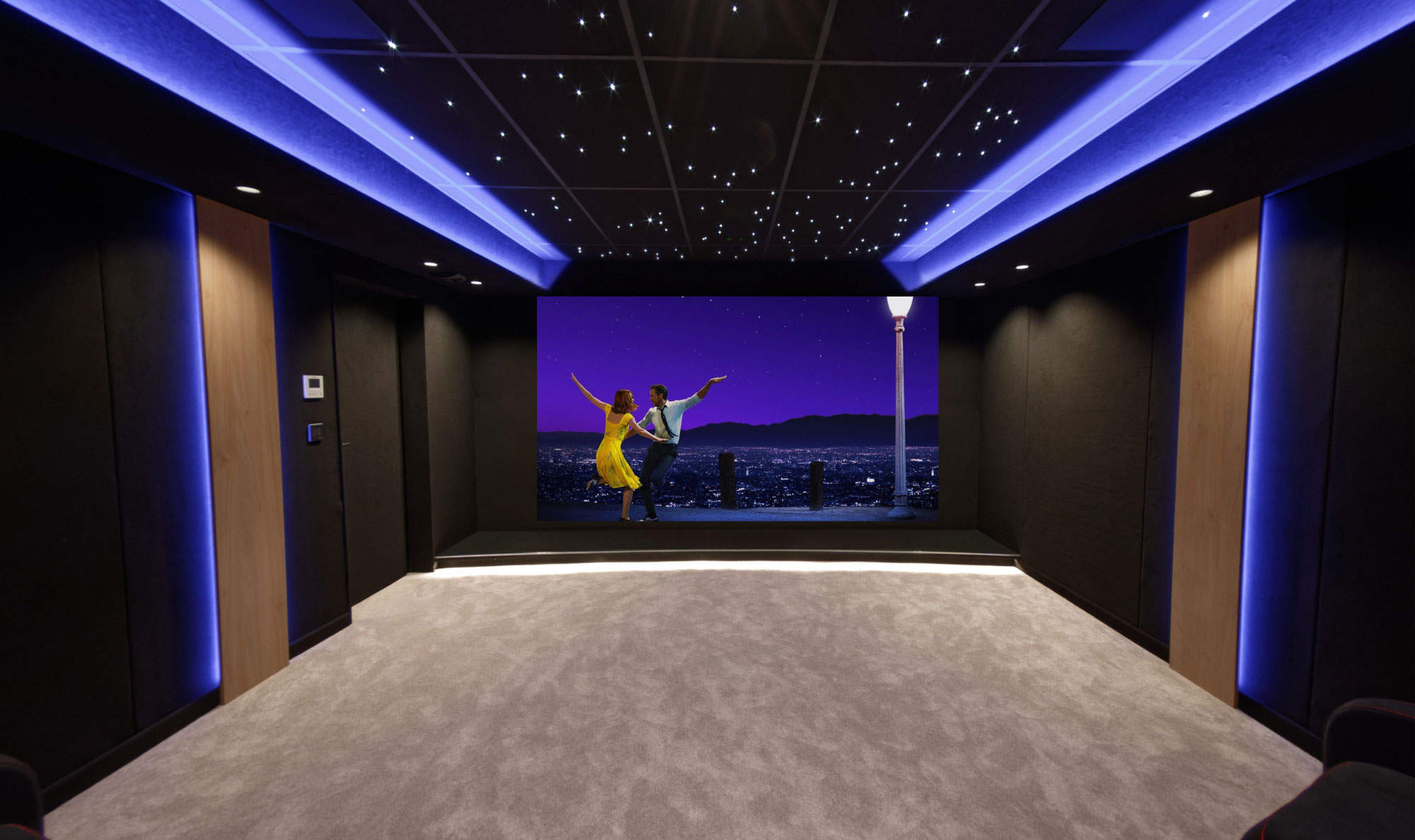 Private cinema room in Meaux