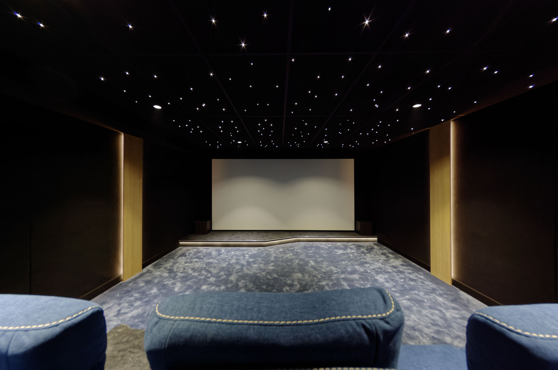 Private cinema room in Saint-Mandé